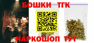 индика Моздок