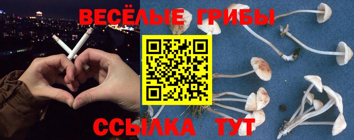 Псилоцибиновые грибы мухоморы  Вход с VPN  Искитим 