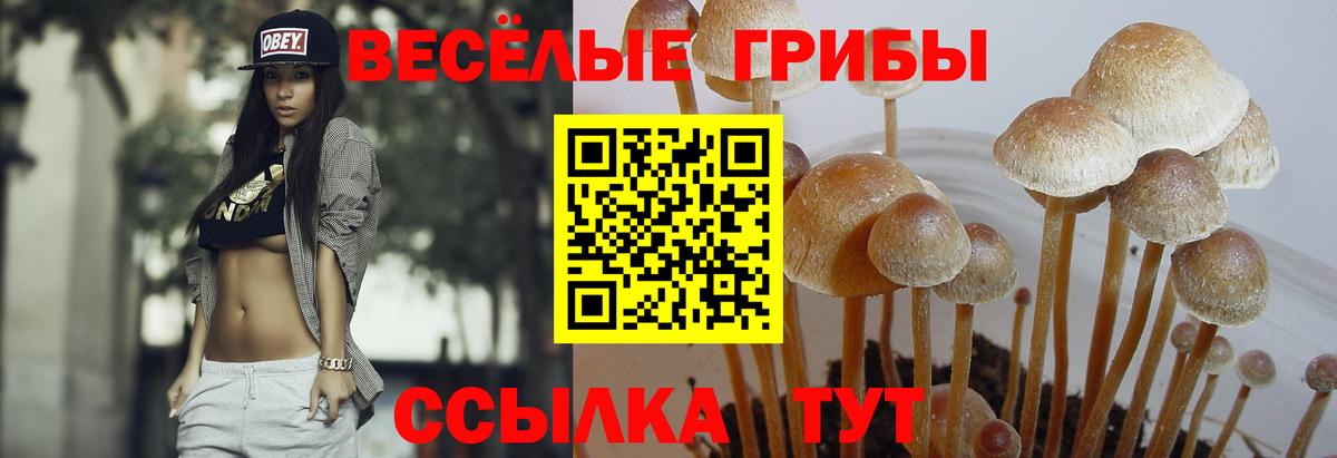 Псилоцибиновые грибы ЛСД Искитим